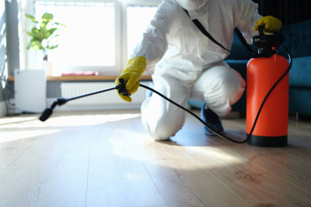 Reliable Odor Removal contractor in Eatonville, WA by Trauma Clean Pros